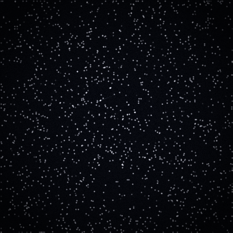First star plate with a faint comet near the center-left